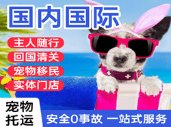锦州湾机场托运国际宠物托运 【国